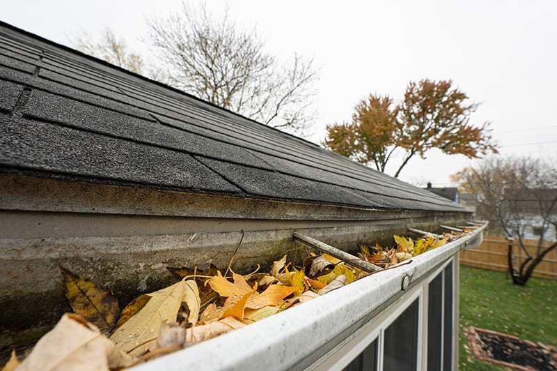 Repairs & Maintenance exterior design inspiration
