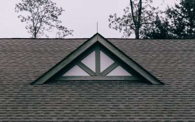 Protect Your Home: Importance of Roof Maintenance