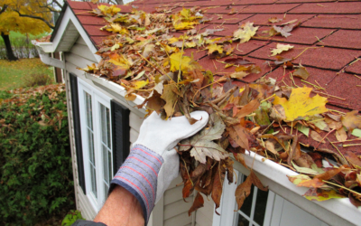 DIY Roof Maintenance Tips for Lynchburg Homeowners