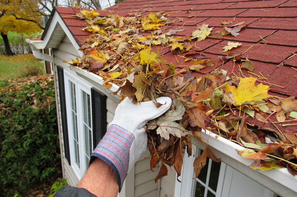 Person cleaning leaves off roof as part of DIY Roof Maintenance tips.