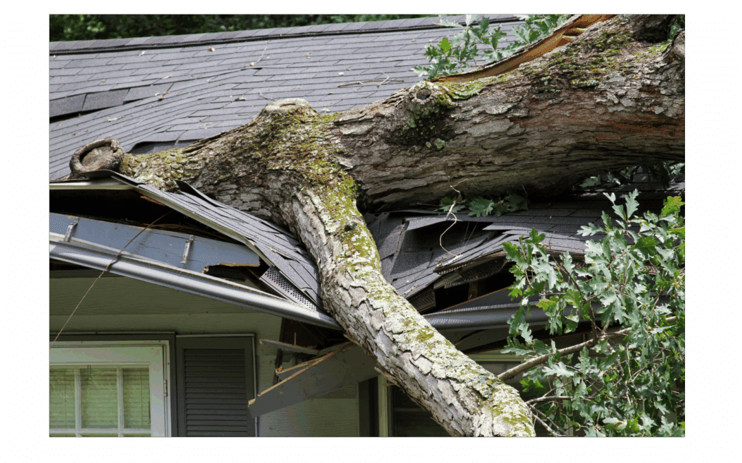 How to Spot Roof Damage After a Storm in Lynchburg