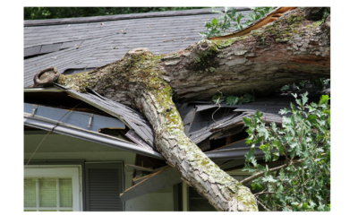 How to Spot Roof Damage After a Storm in Lynchburg