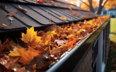 Essential Fall Maintenance For Your Roof: Best Tips