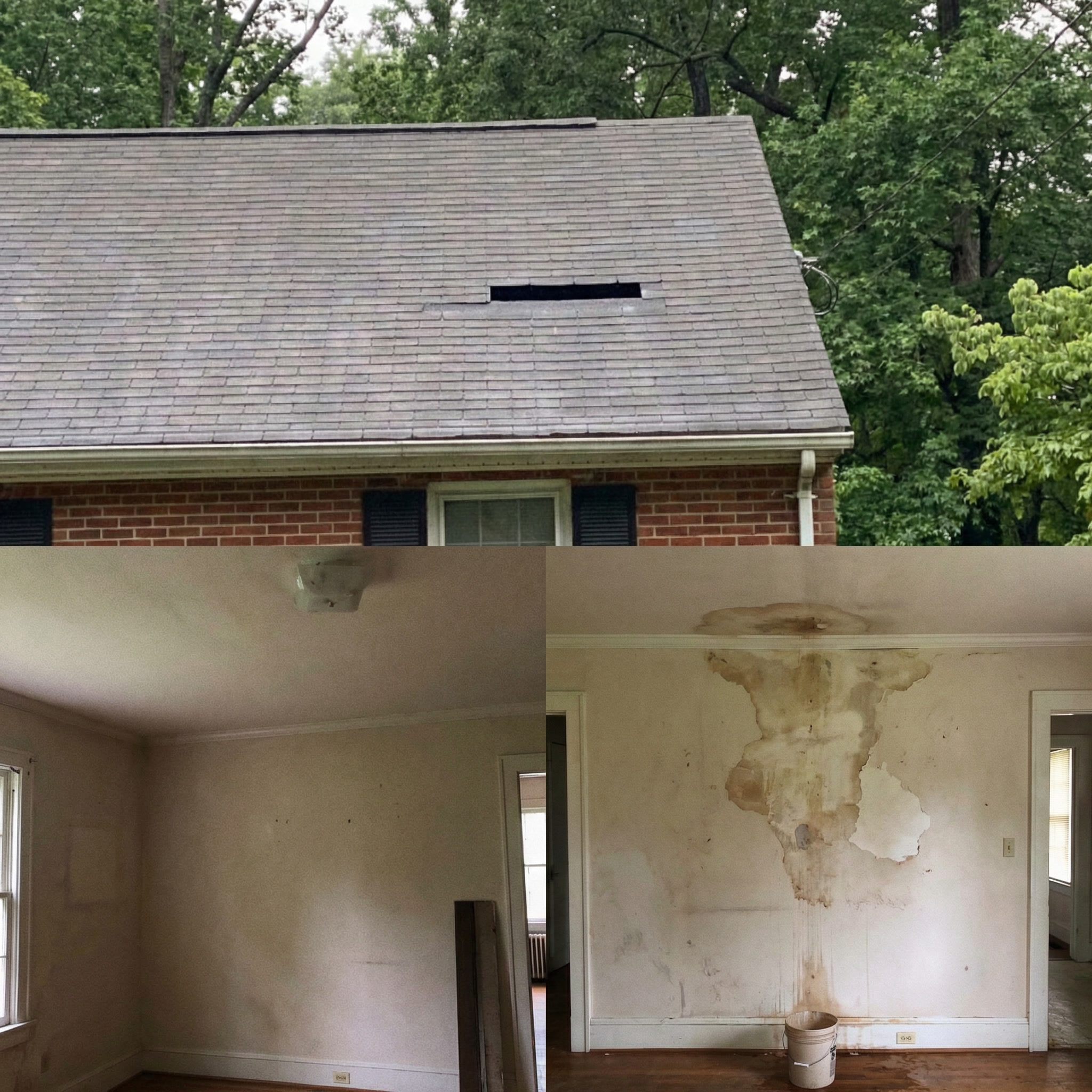 Shingle roof with a skylight on a home surrounded by trees